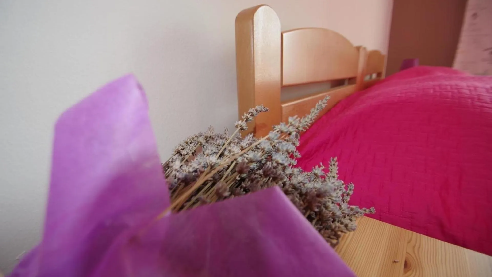 Geraeumige Ferienwohnung In Pula Mit Gemeinsamem Garten